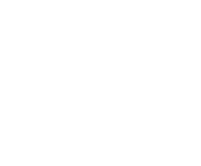 Evolution games at Dino Spin Casino