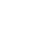 NetEnt games at Dino Spin Casino